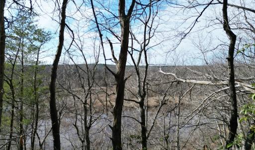 Photo #26 of TBD Grassy Island, Ellerbe, NC