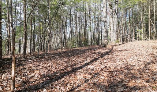 Photo #27 of TBD Grassy Island, Ellerbe, NC