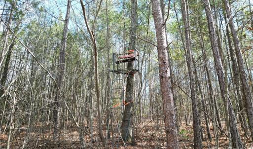 Photo #29 of TBD Grassy Island, Ellerbe, NC