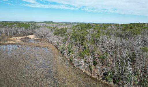 Photo #17 of TBD Grassy Island, Ellerbe, NC
