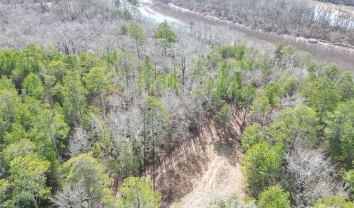 Photo #21 of TBD Grassy Island, Ellerbe, NC