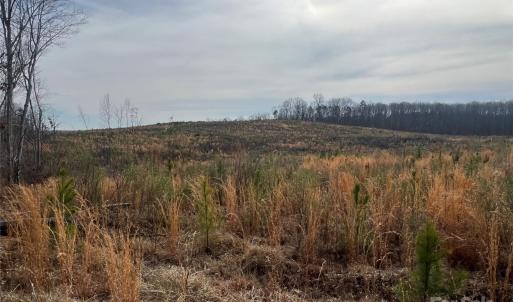Photo #16 of VAC NC 24/27, Albemarle, NC
