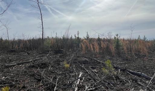 Photo #15 of VAC NC 24/27, Albemarle, NC