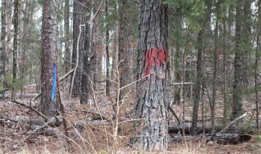 Photo #13 of Craig Farm, Lancaster, SC