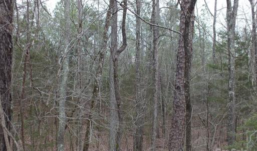 Photo #5 of Craig Farm, Lancaster, SC