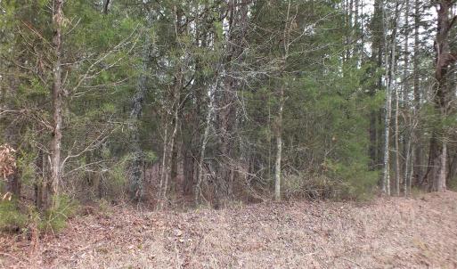 Photo #10 of Craig Farm, Lancaster, SC