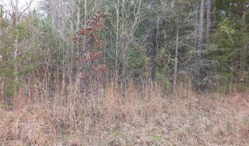 Photo #9 of Craig Farm, Lancaster, SC