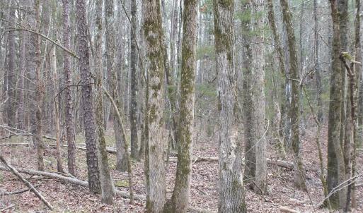 Photo #2 of Craig Farm, Lancaster, SC