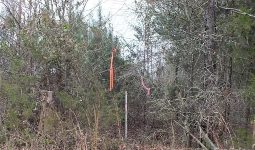 Photo #8 of Craig Farm, Lancaster, SC