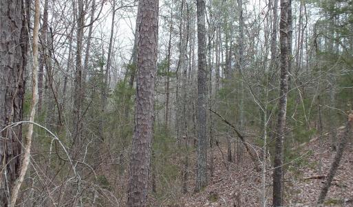 Photo #6 of Craig Farm, Lancaster, SC