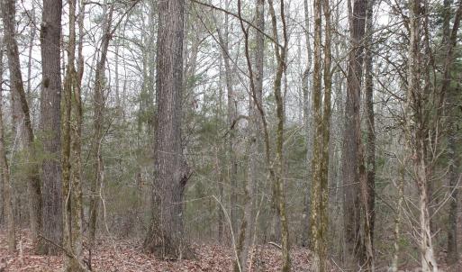 Photo #3 of Craig Farm, Lancaster, SC