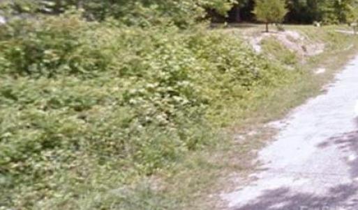 Photo #2 of Oak, Pageland, SC