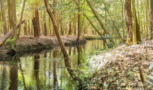 Photo #39 of 229 Joseph Kershaw, Eastover, SC