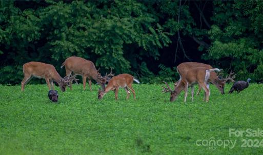 Photo #46 of 229 Joseph Kershaw, Eastover, SC