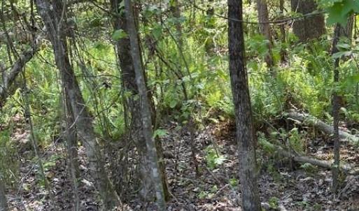 Photo #3 of 3007 Centergrove, Kannapolis, NC