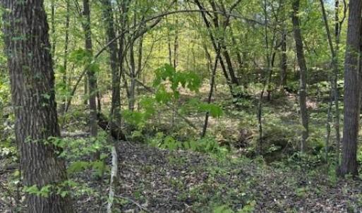 Photo #5 of 3007 Centergrove, Kannapolis, NC