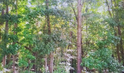 Photo #6 of 3007 Centergrove, Kannapolis, NC