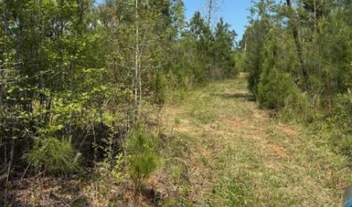 Photo #4 of 3007 Centergrove, Kannapolis, NC