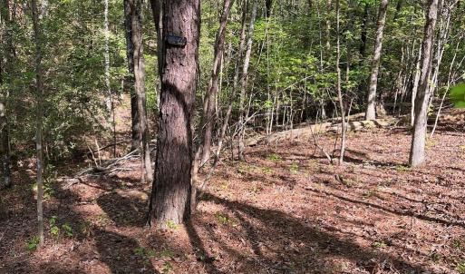 Photo #8 of Sanctuary, Lilesville, NC