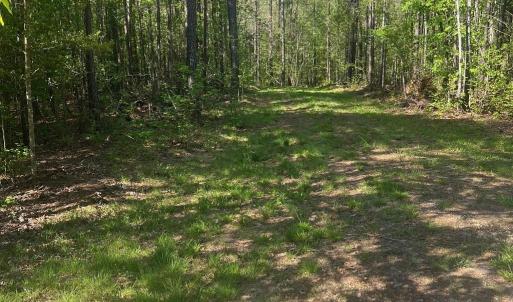 Photo #2 of Sanctuary, Lilesville, NC