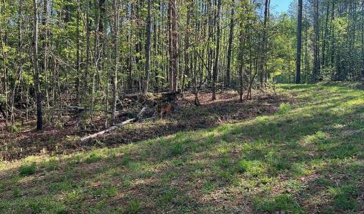 Photo #3 of Sanctuary, Lilesville, NC