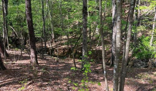 Photo #6 of Sanctuary, Lilesville, NC