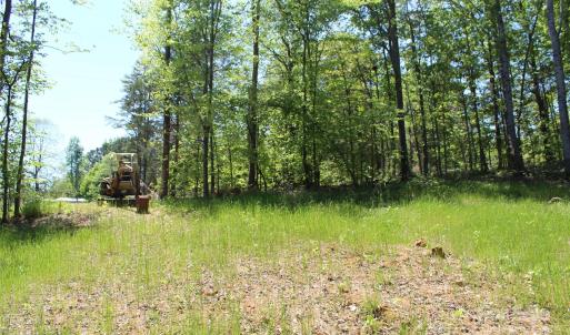 Photo #5 of Davis, Clover, SC