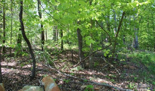 Photo #7 of Davis, Clover, SC