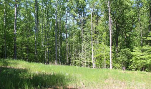 Photo #1 of Davis, Clover, SC