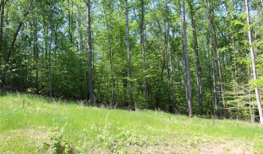 Photo #5 of Davis, Clover, SC