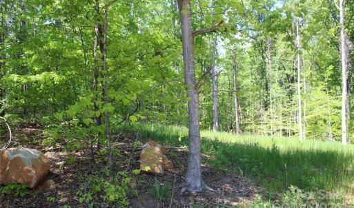 Photo #8 of Davis, Clover, SC