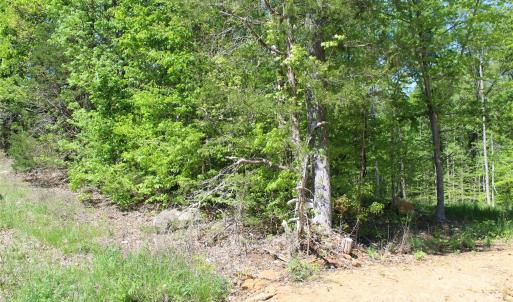 Photo #9 of Davis, Clover, SC