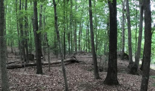 Photo #12 of 3111 Catawba, Great Falls, SC