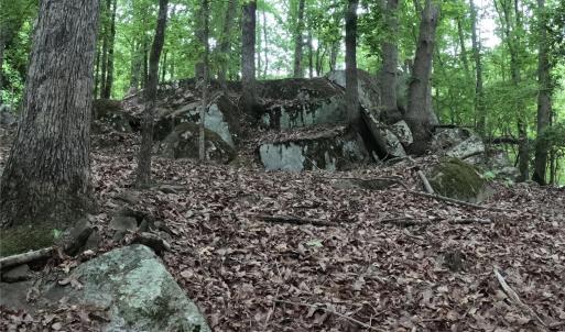 Photo #11 of 3111 Catawba, Great Falls, SC