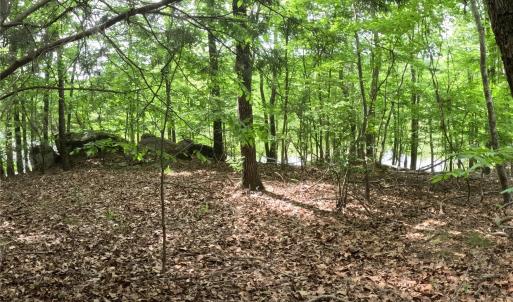 Photo #17 of 3111 Catawba, Great Falls, SC