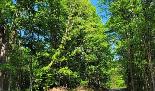 Photo #6 of Lot 29 John Morgan, Gold Hill, NC