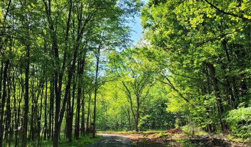 Photo #8 of Lot 29 John Morgan, Gold Hill, NC