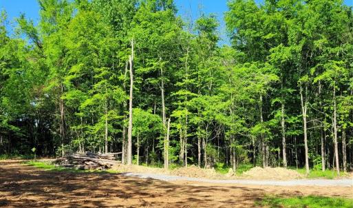 Photo #9 of Lot 30 John Morgan, Gold Hill, NC