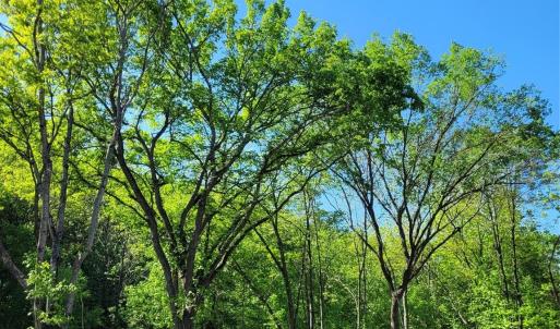 Photo #5 of Lot 30 John Morgan, Gold Hill, NC