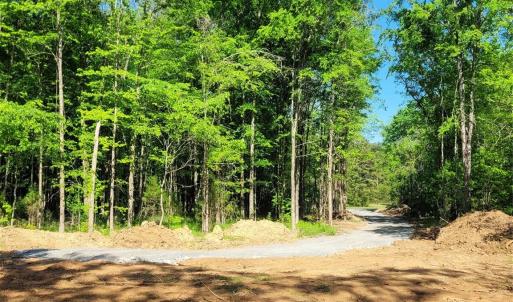 Photo #10 of Lot 30 John Morgan, Gold Hill, NC