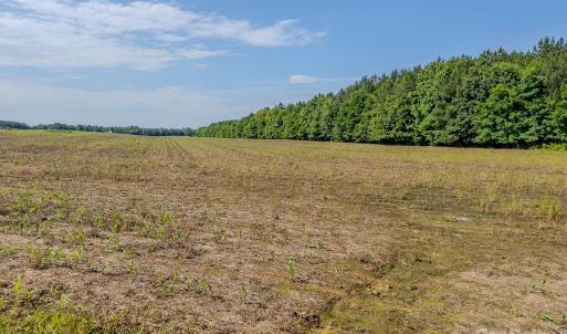 Photo #8 of 4794 Cauble, Mount Pleasant, NC
