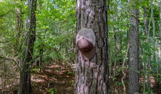 Photo #36 of 4794 Cauble, Mount Pleasant, NC