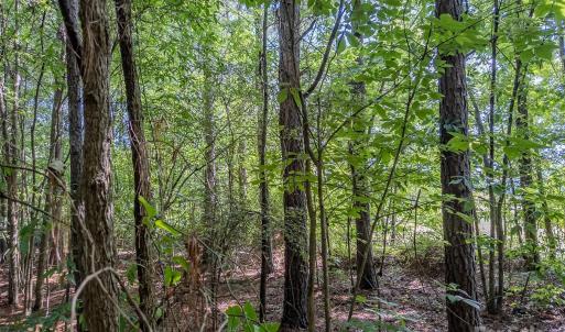 Photo #38 of 4794 Cauble, Mount Pleasant, NC