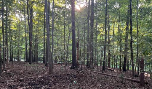 Photo #7 of 229 Ballard, Fort Mill, SC