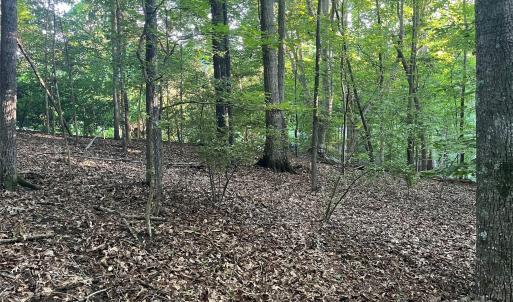 Photo #11 of 229 Ballard, Fort Mill, SC