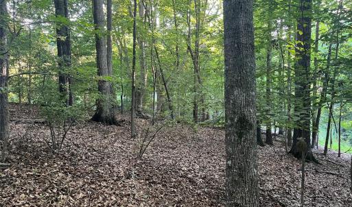 Photo #10 of 229 Ballard, Fort Mill, SC