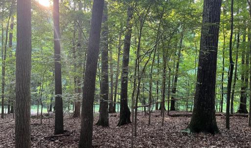 Photo #9 of 229 Ballard, Fort Mill, SC