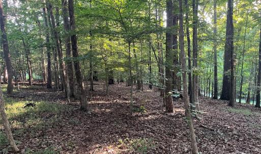 Photo #8 of 229 Ballard, Fort Mill, SC