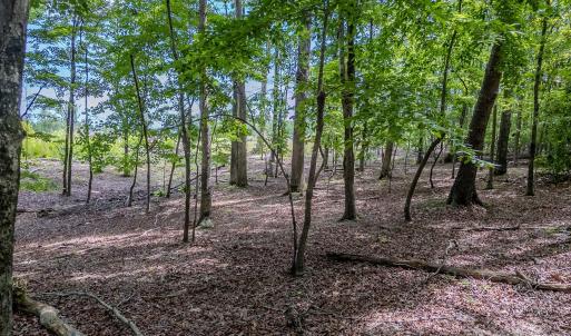 Photo #13 of Main, Locust, NC