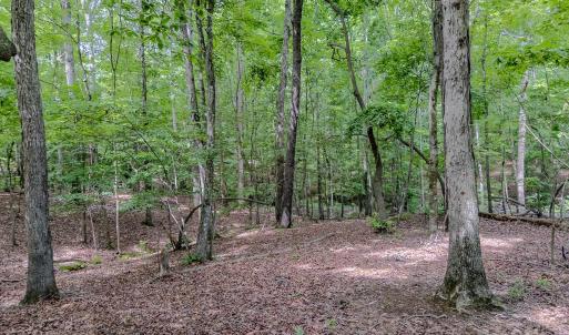 Photo #15 of Main, Locust, NC